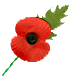 The Poppy Appeal